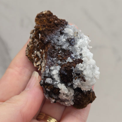 Hand holding a piece of dark brown mineral with white crystals against a neutral background