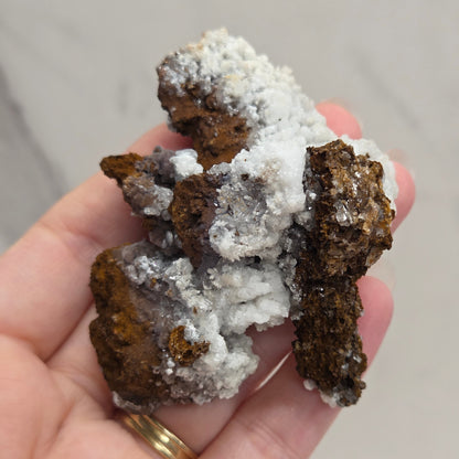 Hand holding a cluster of dark brown and white mineral crystals against a neutral background