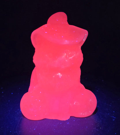 Glowing pink cat carving with pumpkins on a reflective black surface with a dark background