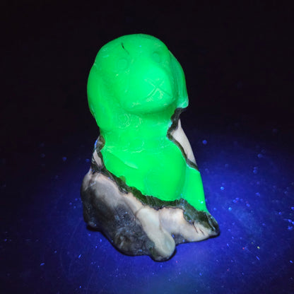 Stone dog carving under a UV lighting on a dark background