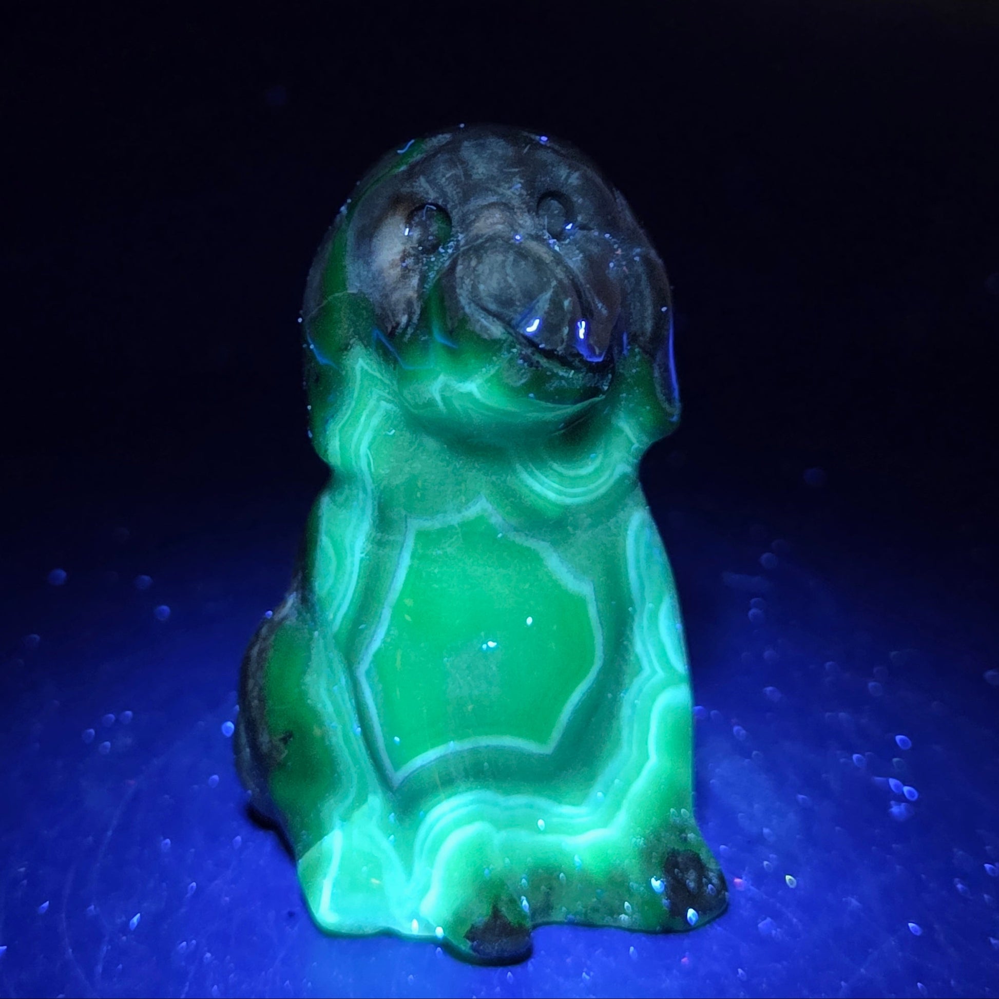 Stone dog carving under a UV lighting on a dark background