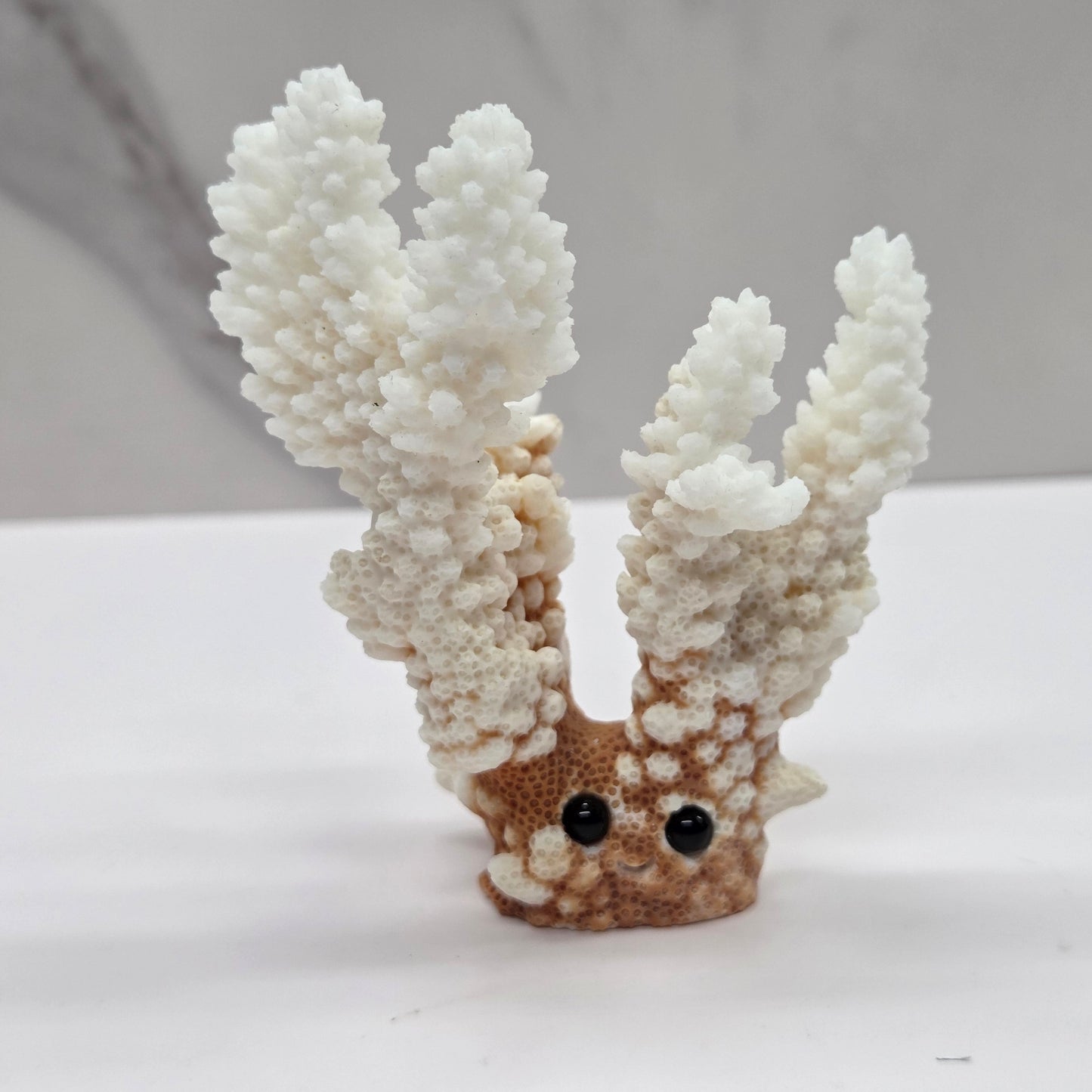 Coral with eyes and a mouth on a white background