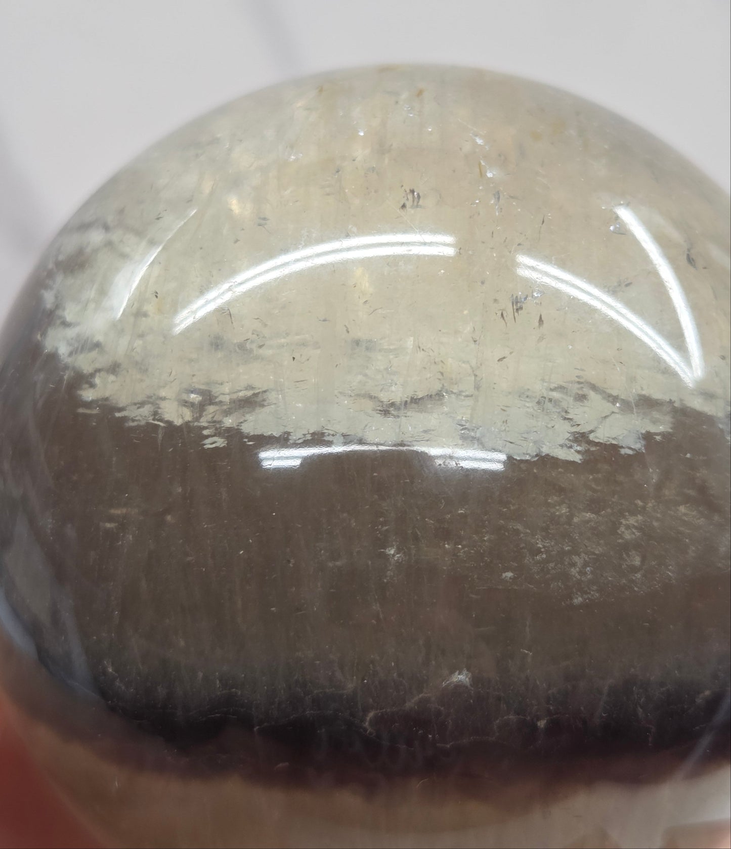 Close-up of a textured round object with a reflective surface on a white background