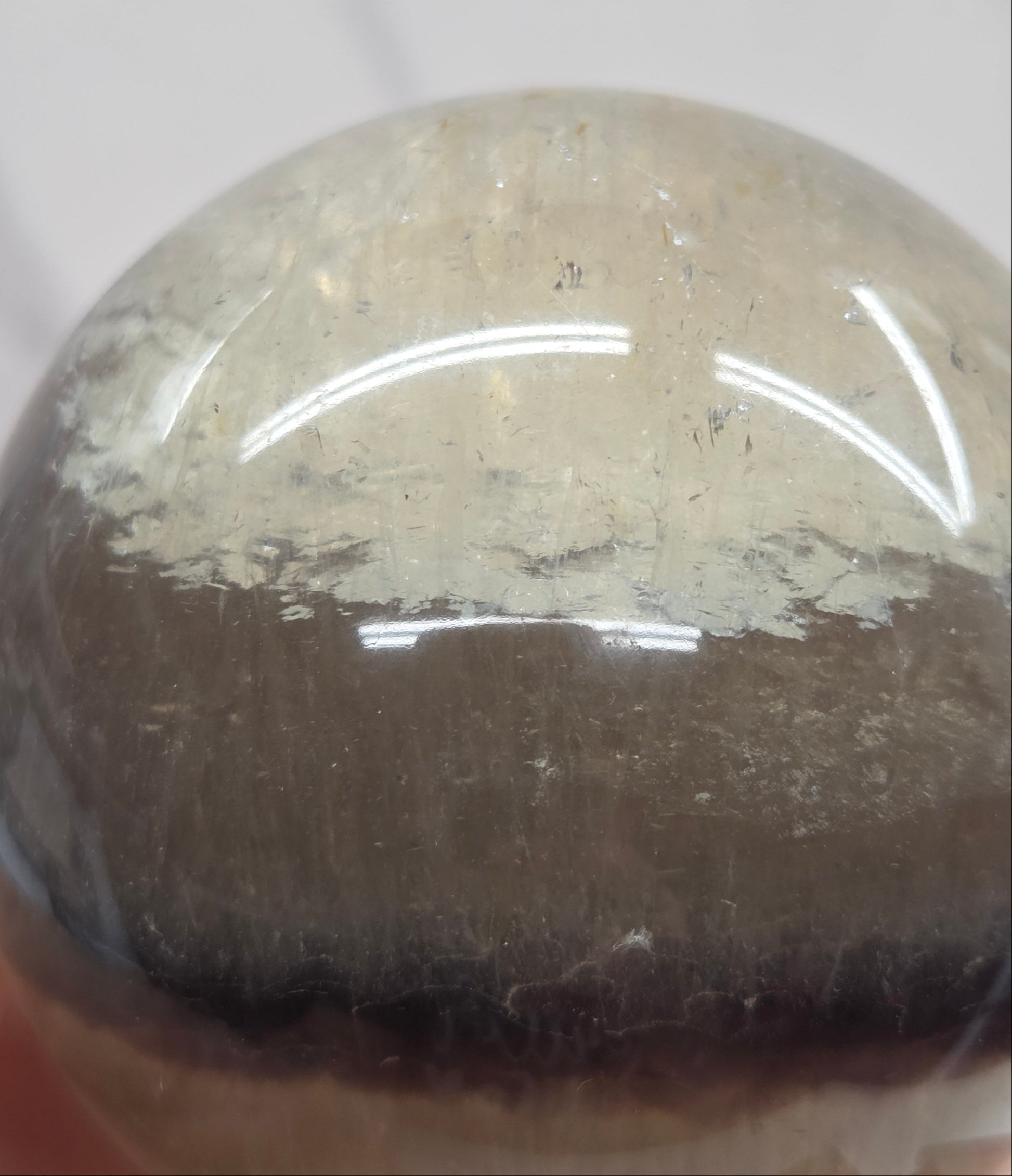 Close-up of a textured round object with a reflective surface on a white background