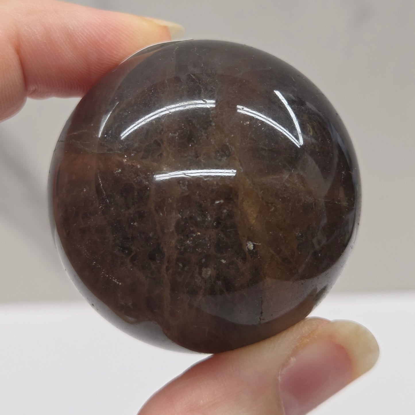 Person holding a dark brown stone against a neutral background