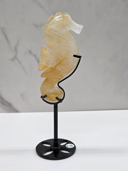 Golden Healer seahorse in stand
