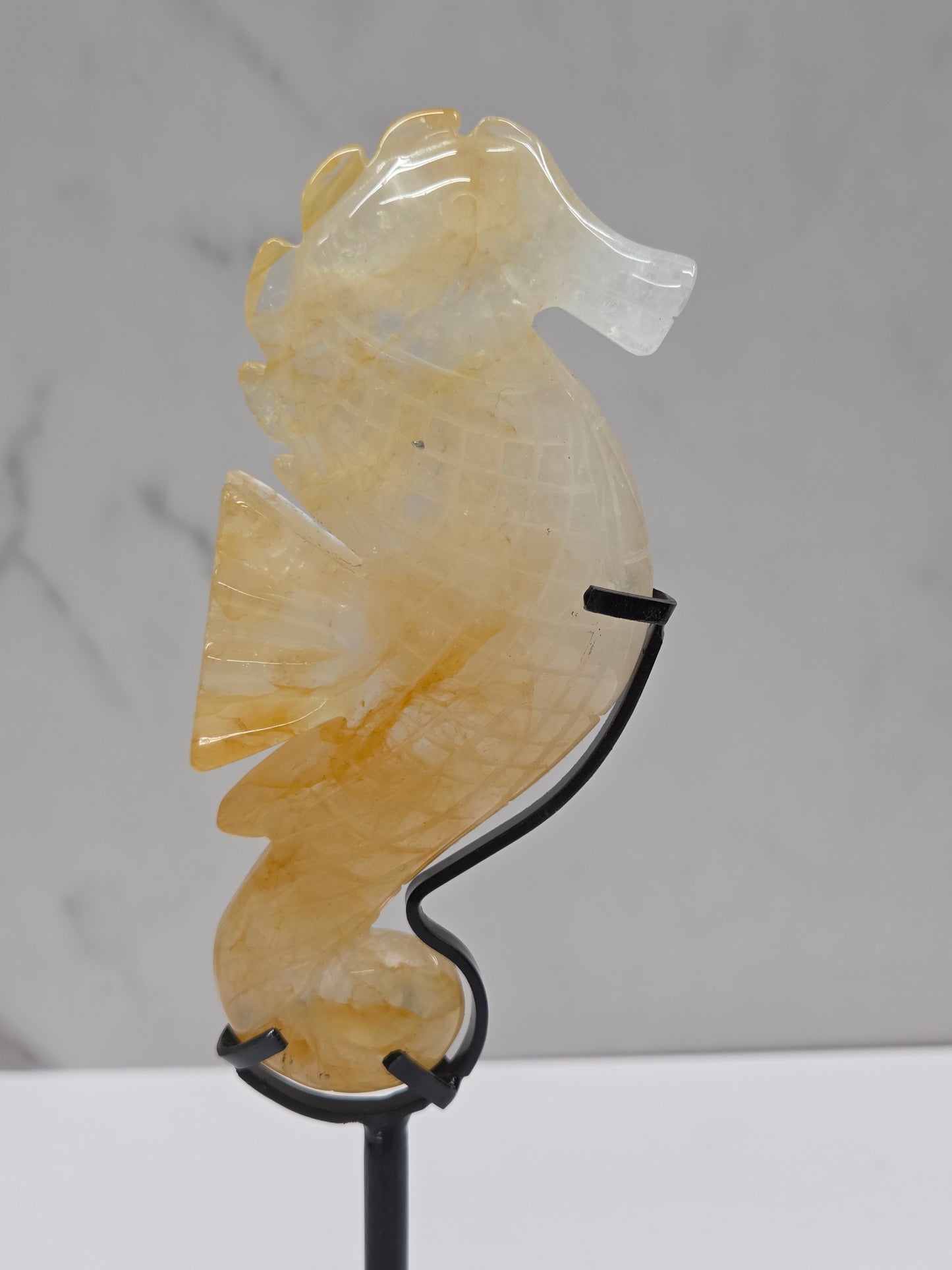 Golden Healer seahorse in stand