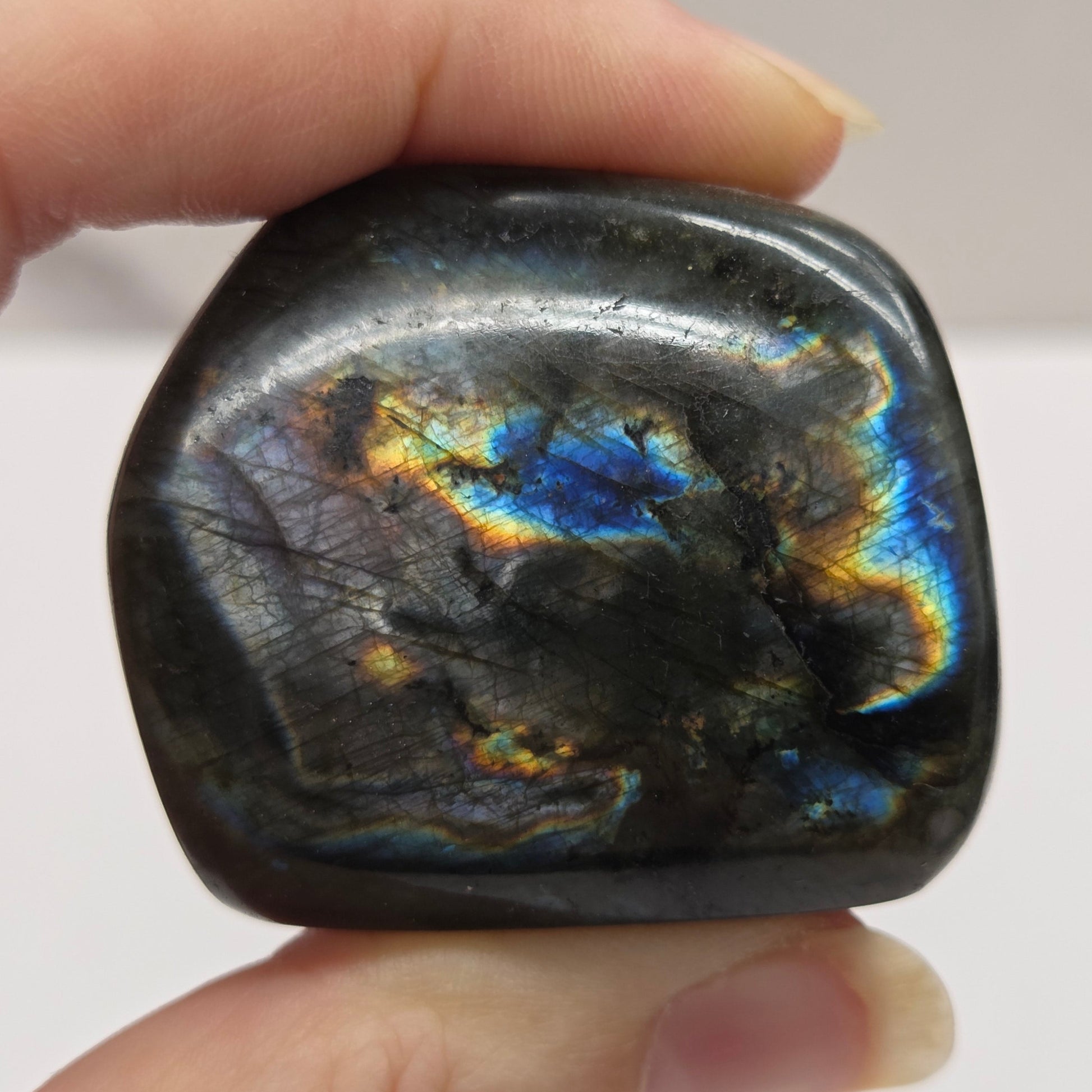 A polished Labradorite free form specimen being held by a hand showcasing a play of colors including blue, green, yellow, orange, red, and purple.