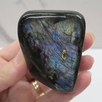 A polished Labradorite free form specimen being held by a hand showcasing a play of colors including blue, green, yellow, orange, red, and purple.
