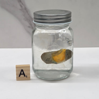 Clear glass jar with a rock inside on a white surface, labeled 'A'.
