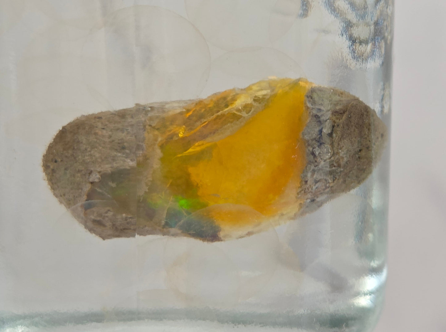 Amber stone held in a clear glass container against a neutral background