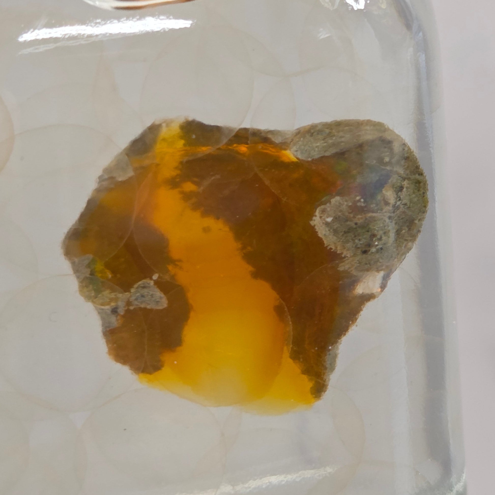 Amber stone in a glass display case held by a hand against a white background
