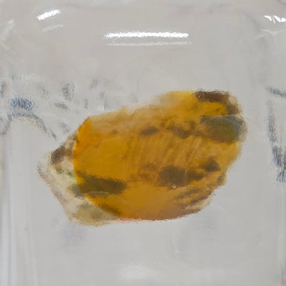 Yellowish rock  inside a glass container held by a hand.