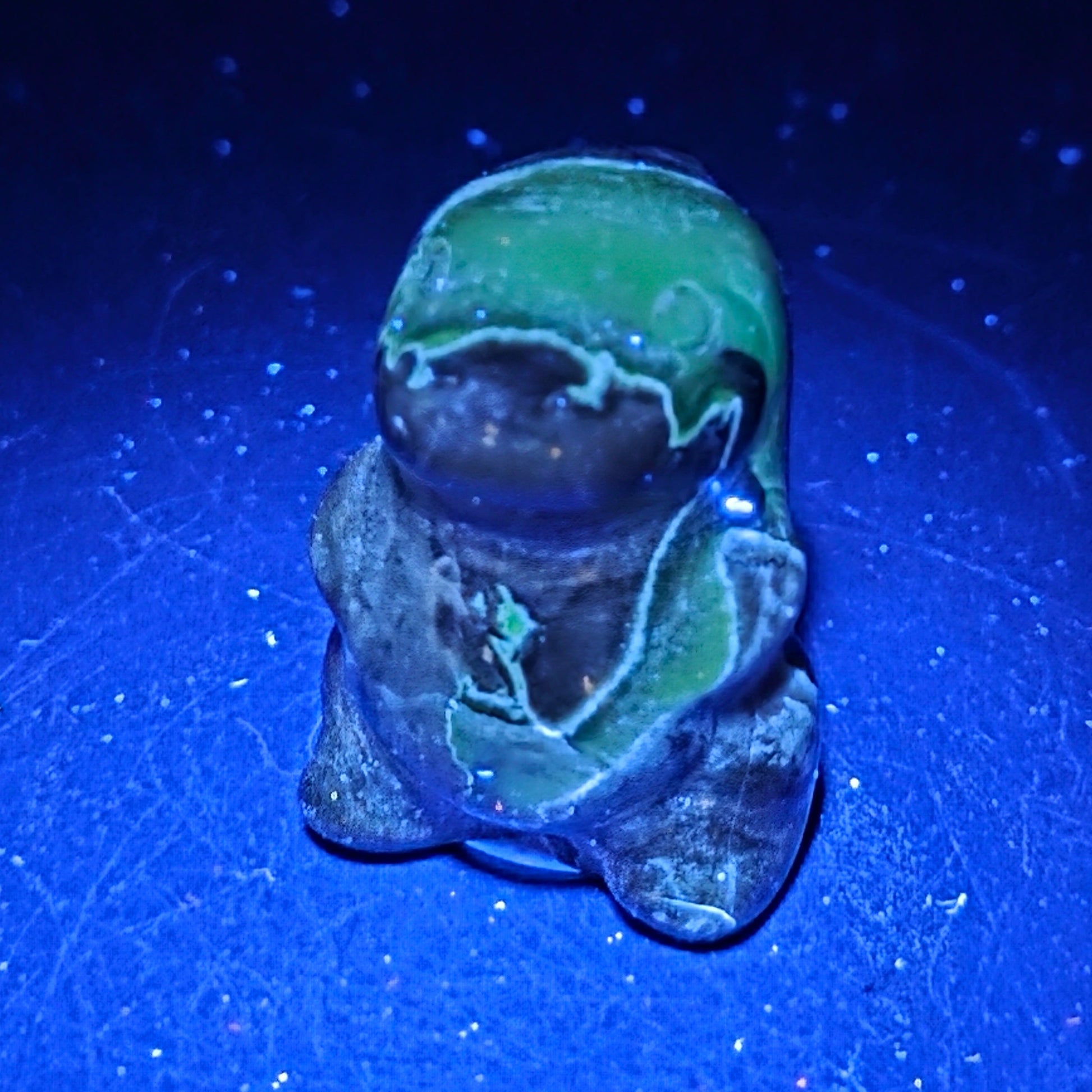 Volcano Agate chubby belly dinosaur on a black background under UV light