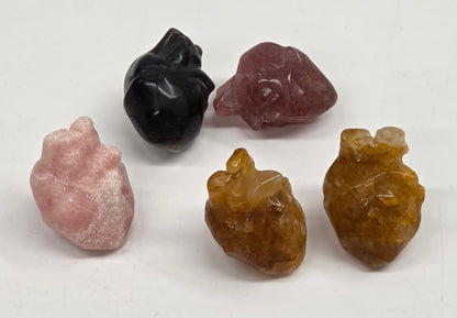 Collection of anatomical hearts in a variety of materials and colors on a white background