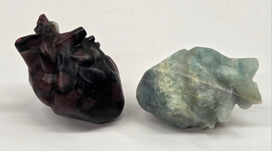 Two crystal carvings of anatomical hearts made of various materials and colors on a white background