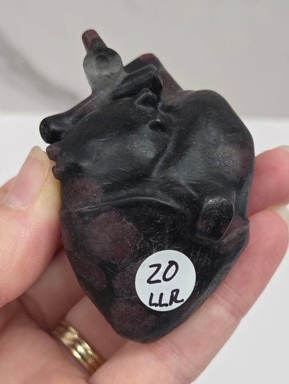 Hand holding a Garnet carving of an anatomical heart against a white background
