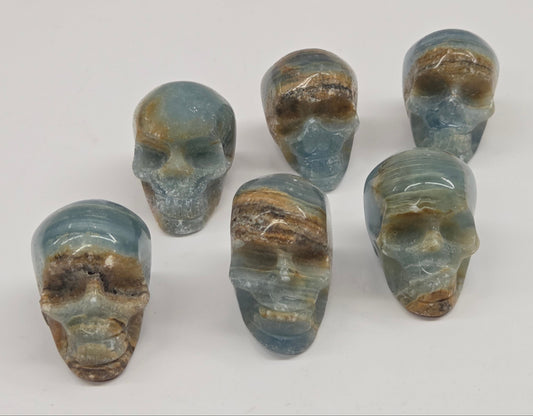 Blue and brown banded skull carvings on a white background