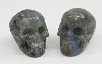 grey skull carvings with blue flash on a white background