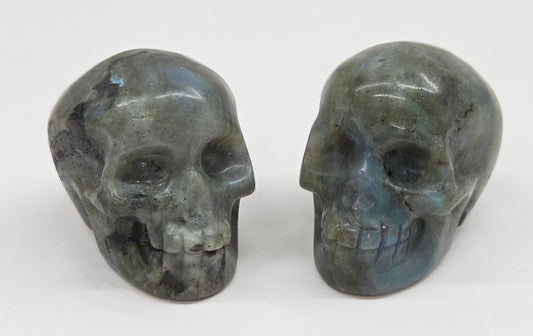 grey skull carvings with blue flash on a white background