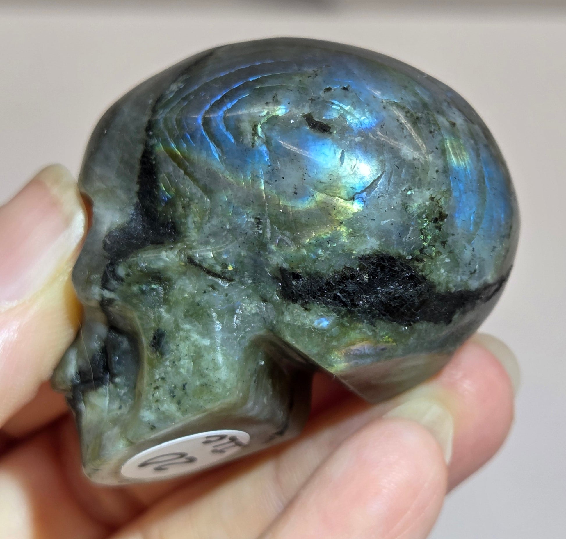grey skull carving with blue flash on a white background