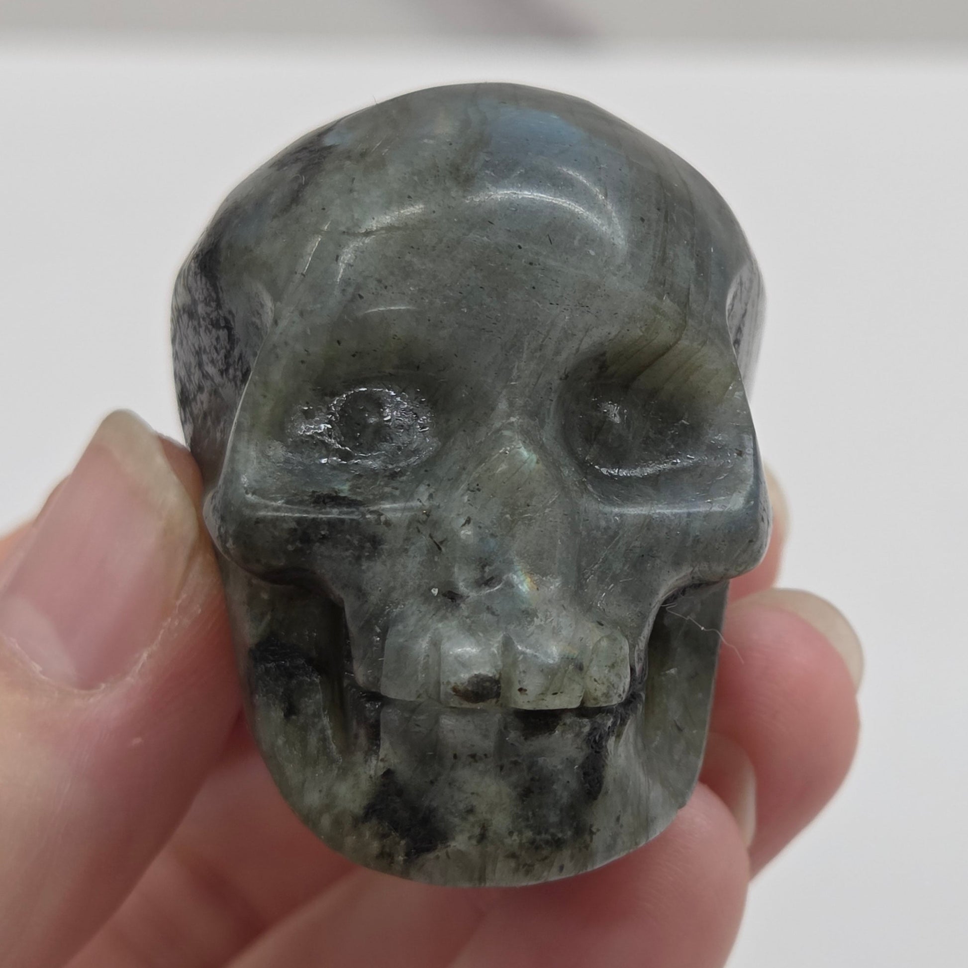 grey skull carving with blue flash on a white background