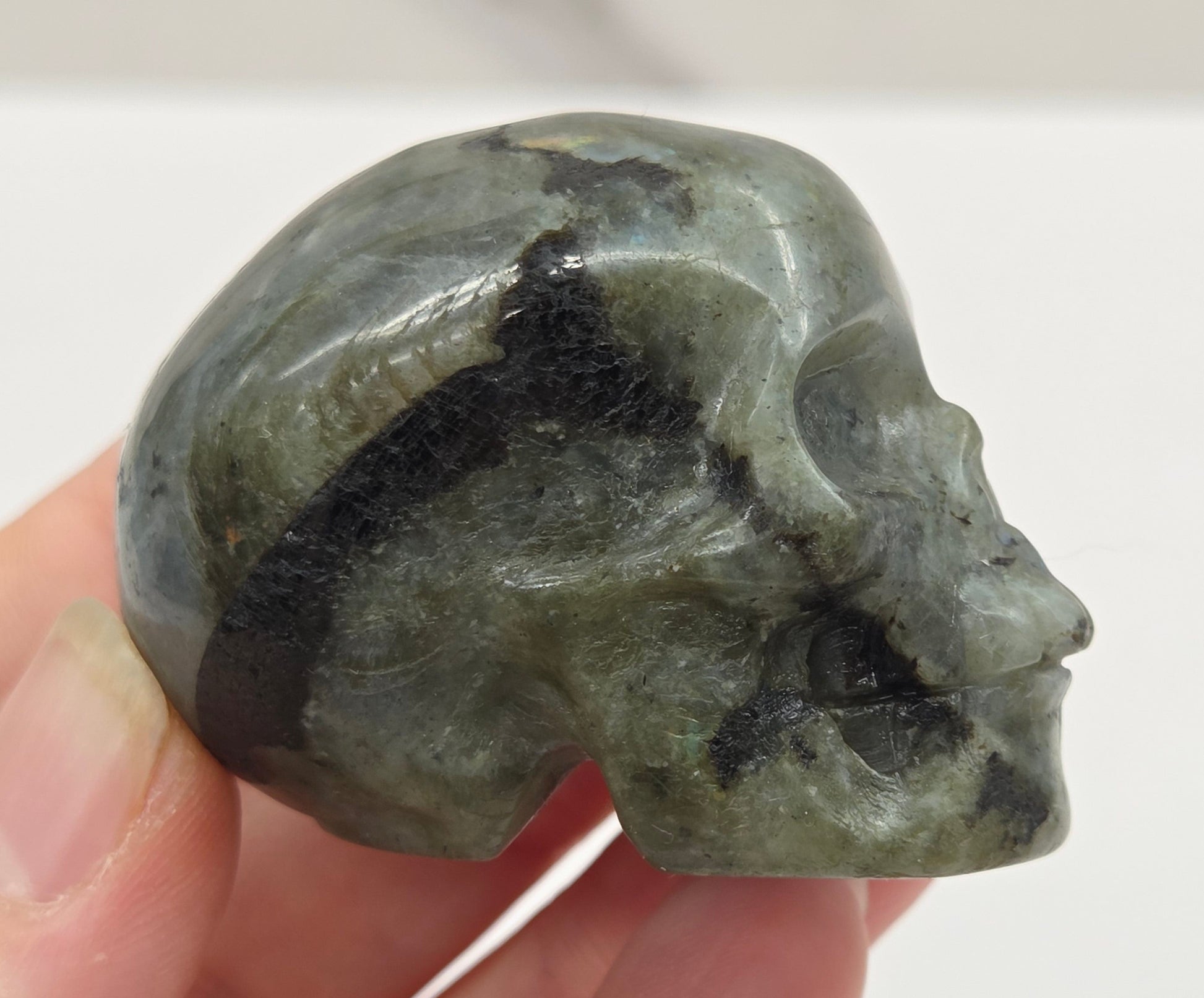grey skull carving with blue flash on a white background