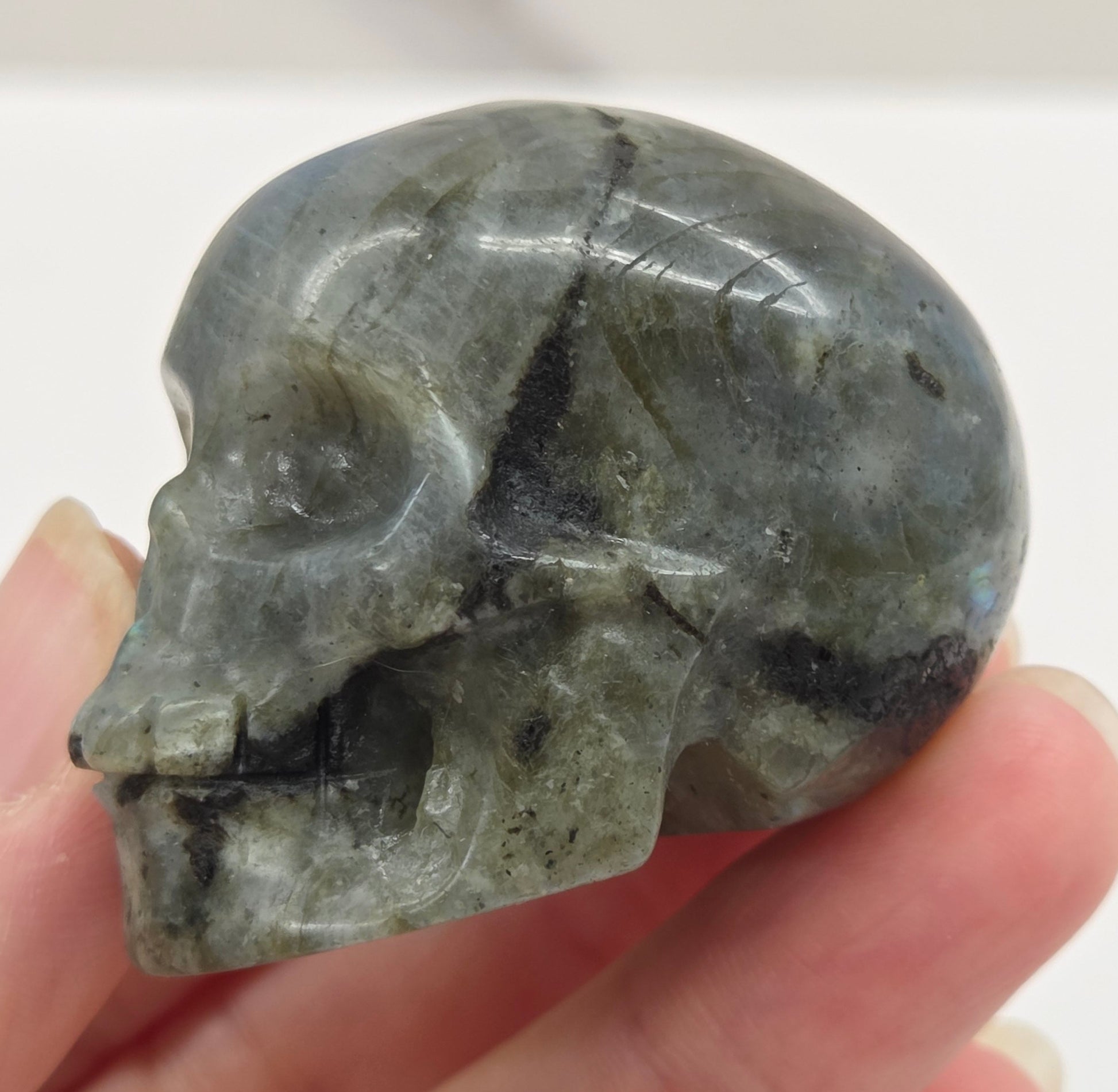 grey skull carving with blue flash on a white background