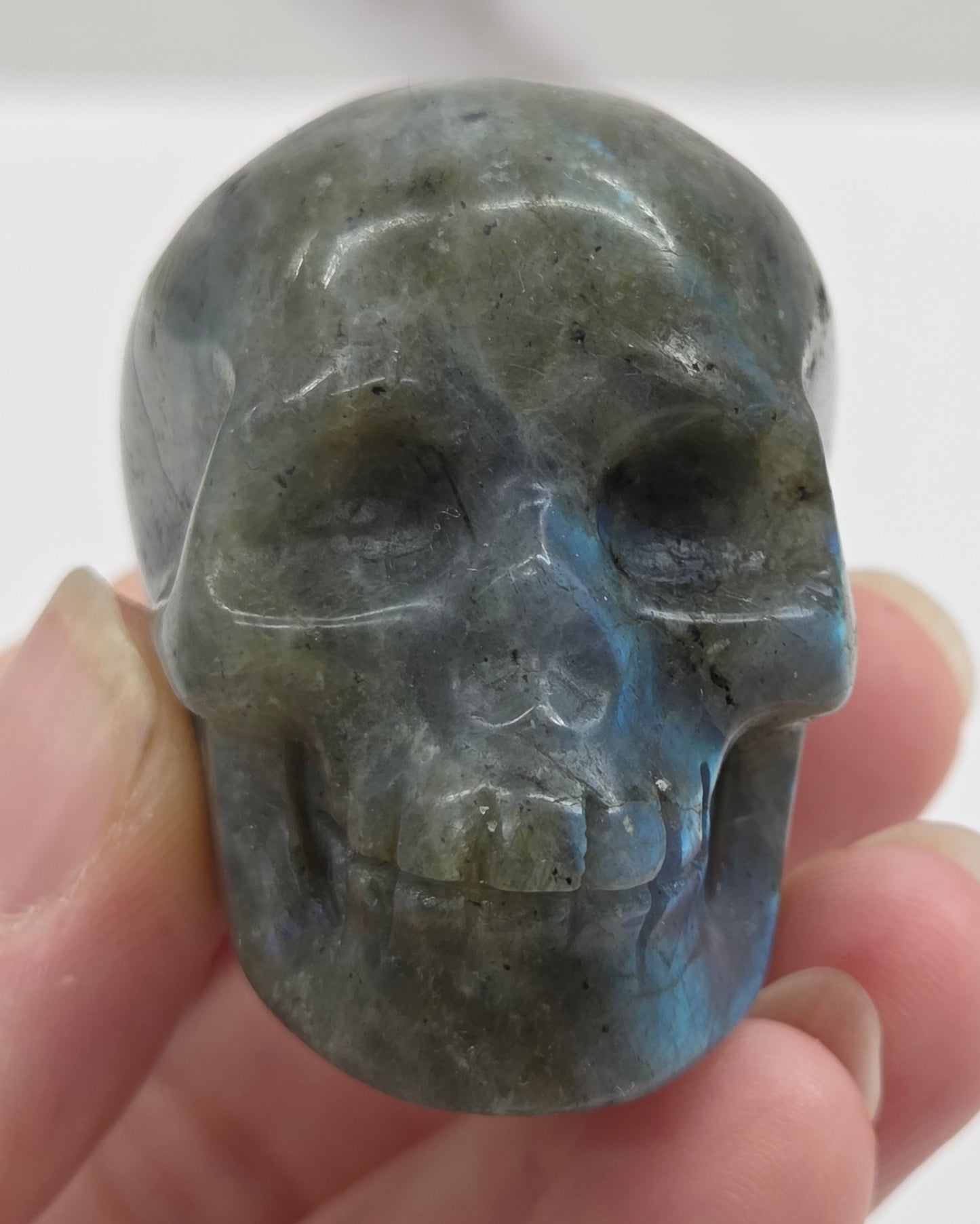grey skull carving with blue flash on a white background