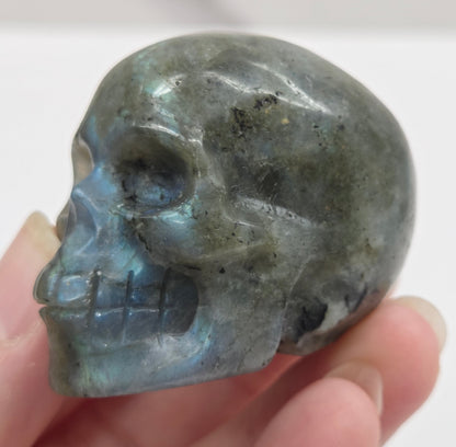 grey skull carving with blue flash on a white background