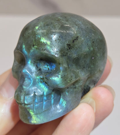 grey skull carving with blue flash on a white background