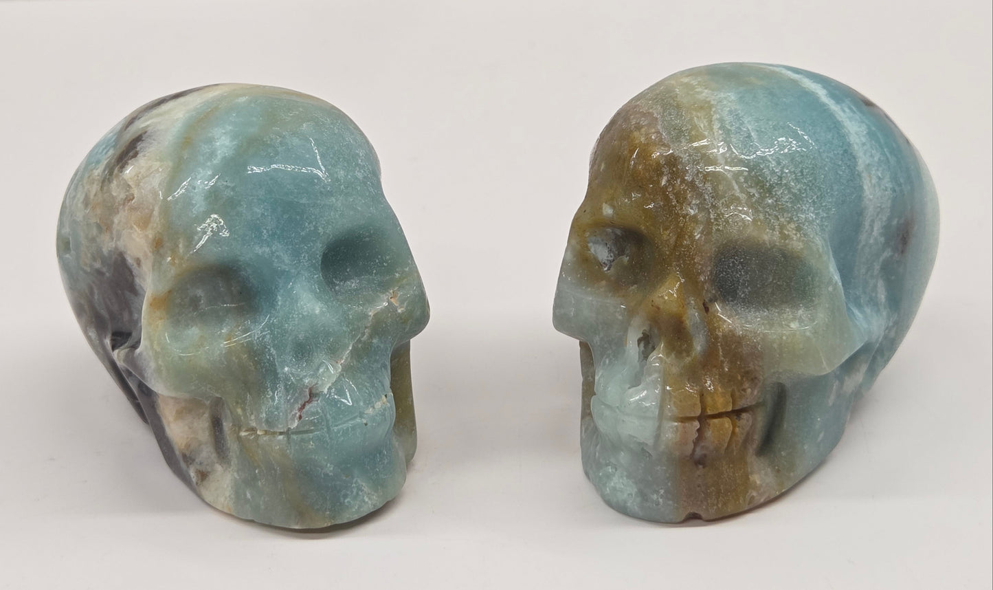 Skull carvings with blue, white, black and brown coloring on a white background