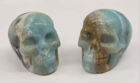 Skull carvings with blue, white, black and brown coloring on a white background