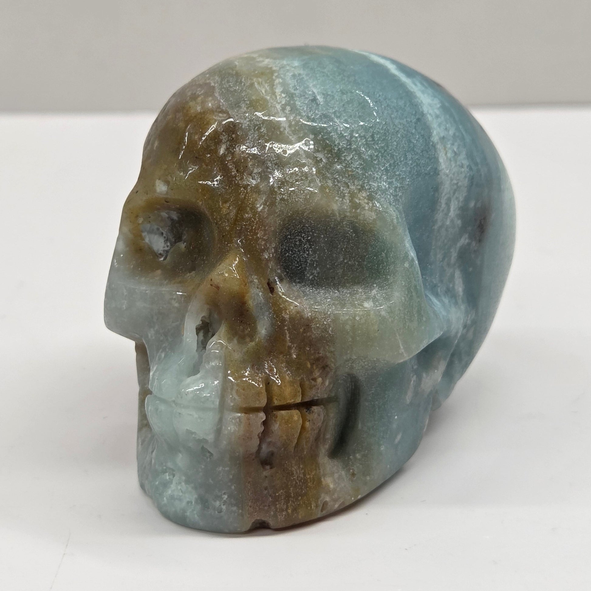 Skull carving with blue, white, black and brown coloring on a white background