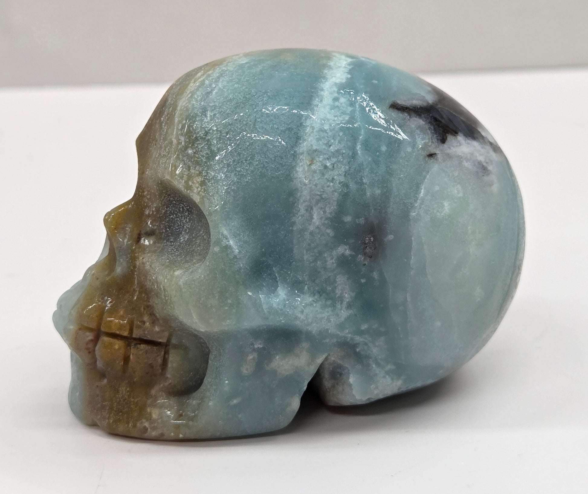 Skull carving with blue, white, black and brown coloring on a white background