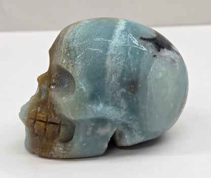 Skull carving with blue, white, black and brown coloring on a white background