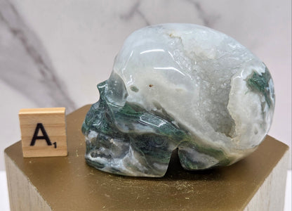 Moss Agate skull carving on a wood stand against a white background