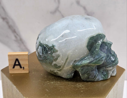 Moss Agate skull carving on a wood stand against a white background