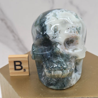 Moss Agate skull carving on a wood stand against a white background