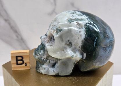Moss Agate skull carving on a wood stand against a white background