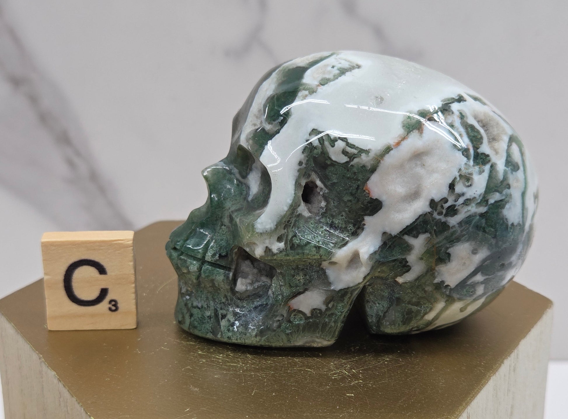 Moss Agate skull carving on a wood stand against a white background