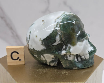 Moss Agate skull carving on a wood stand against a white background