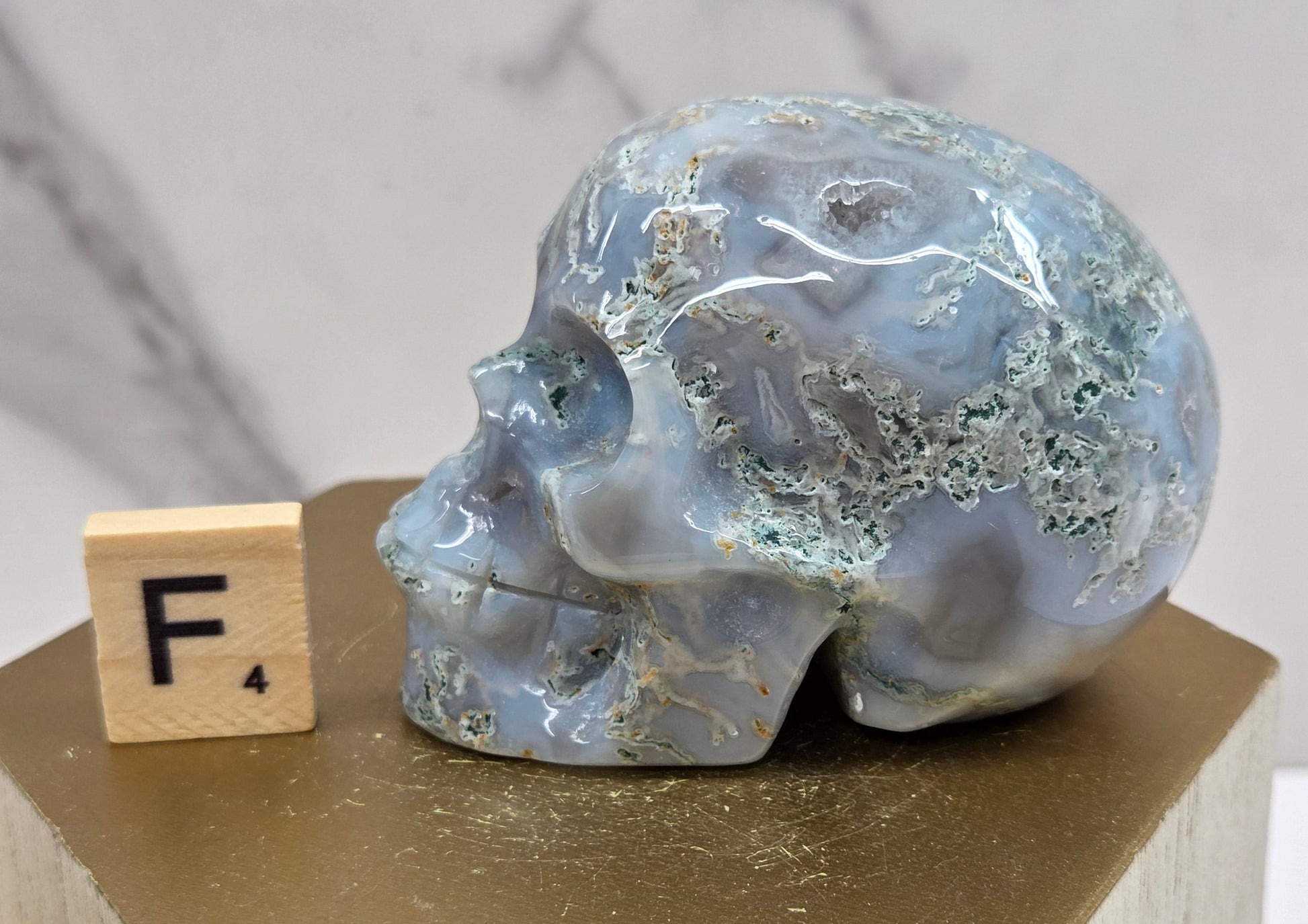Moss Agate skull carving on a wood stand against a white background