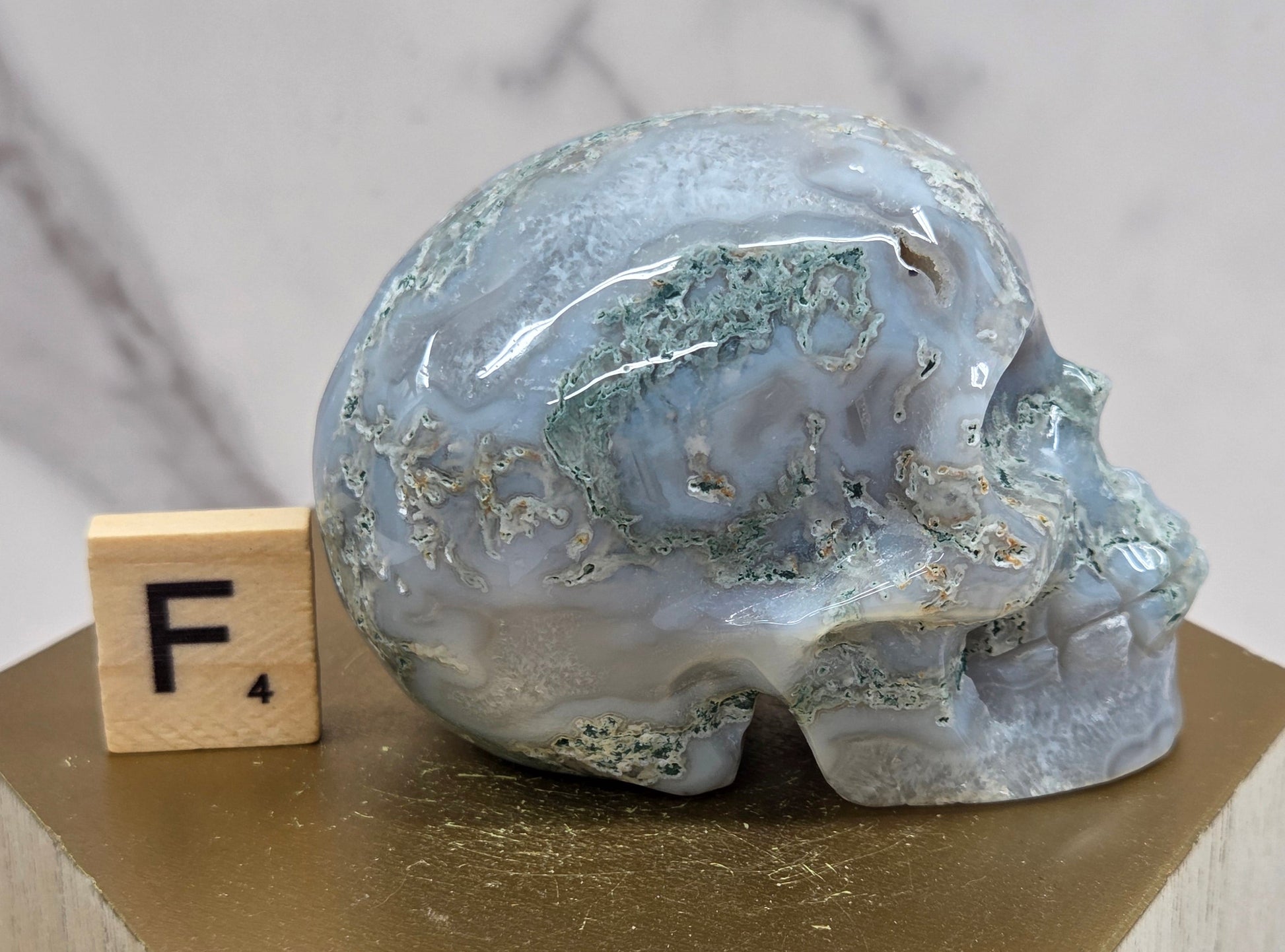 Moss Agate skull carving on a wood stand against a white background