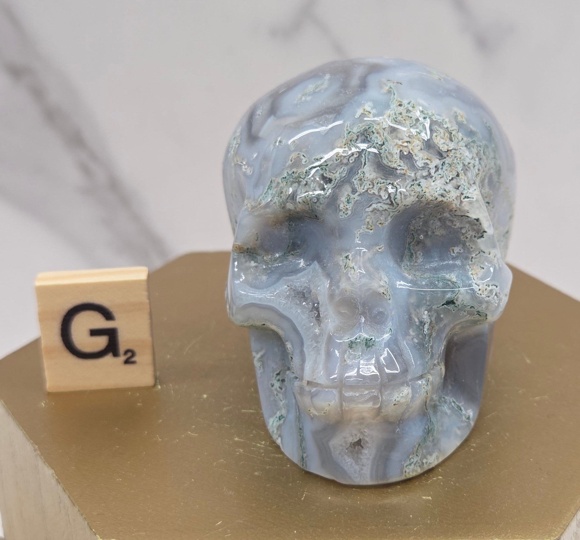 Moss Agate skull carving on a wood stand against a white background