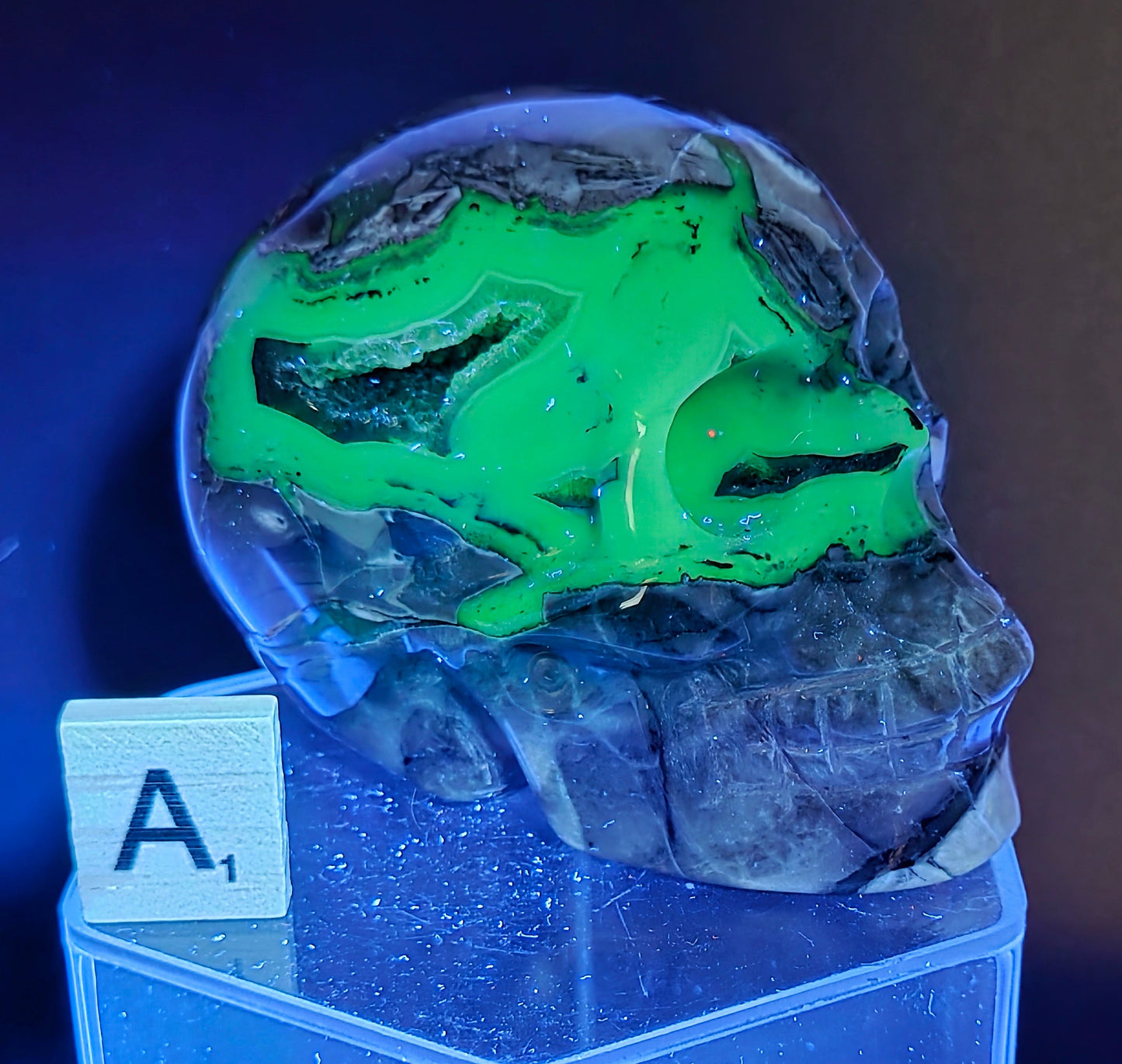 A skull-shaped sculpture made of volcano agate, under UV light