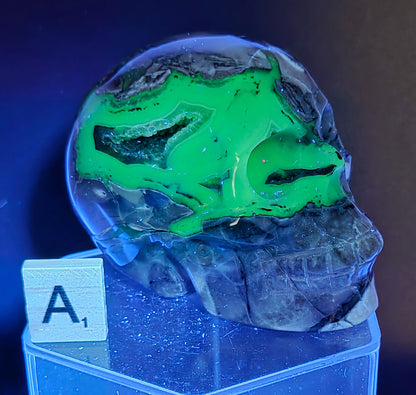 A skull-shaped sculpture made of volcano agate, under UV light