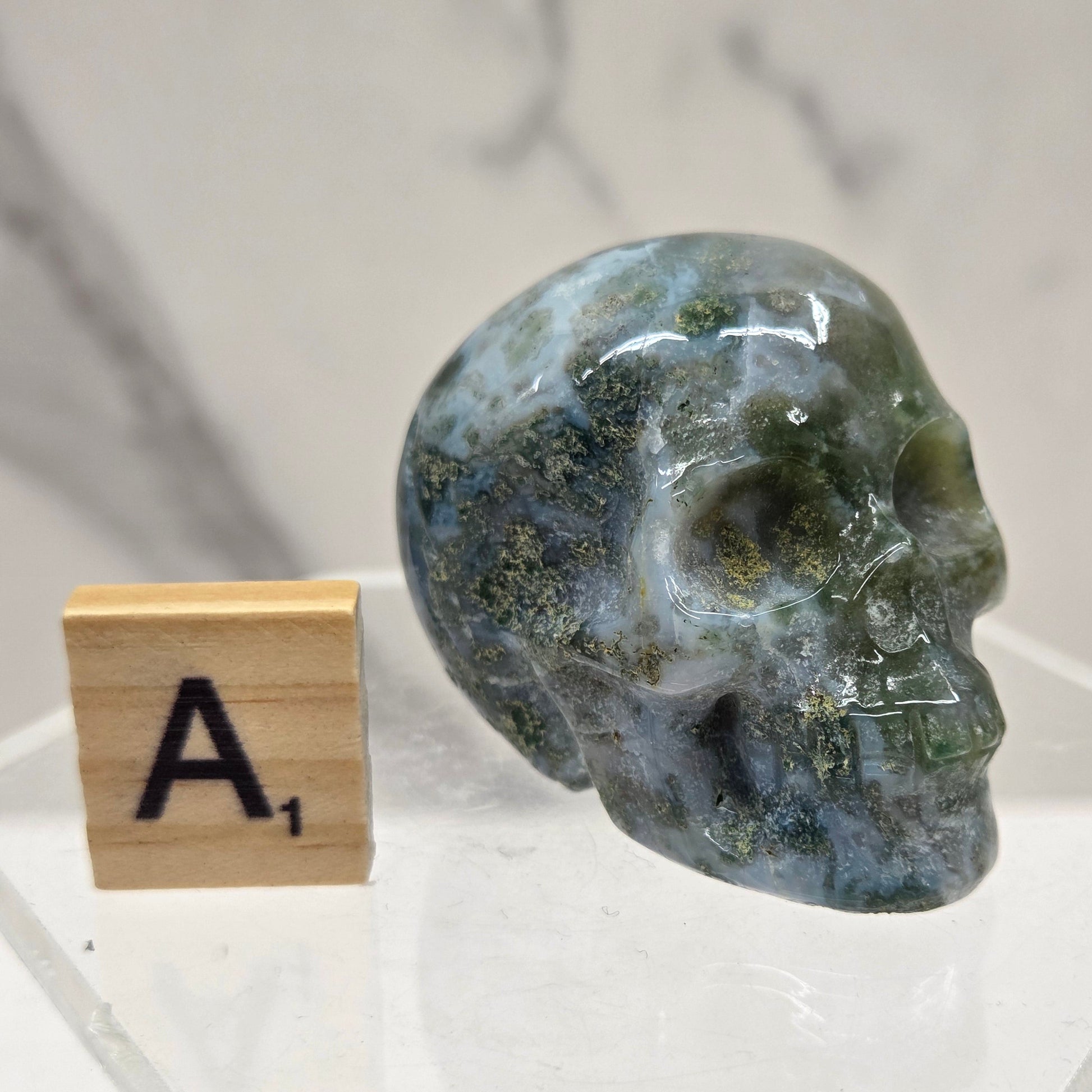 Moss Agate skull carving on a white background
