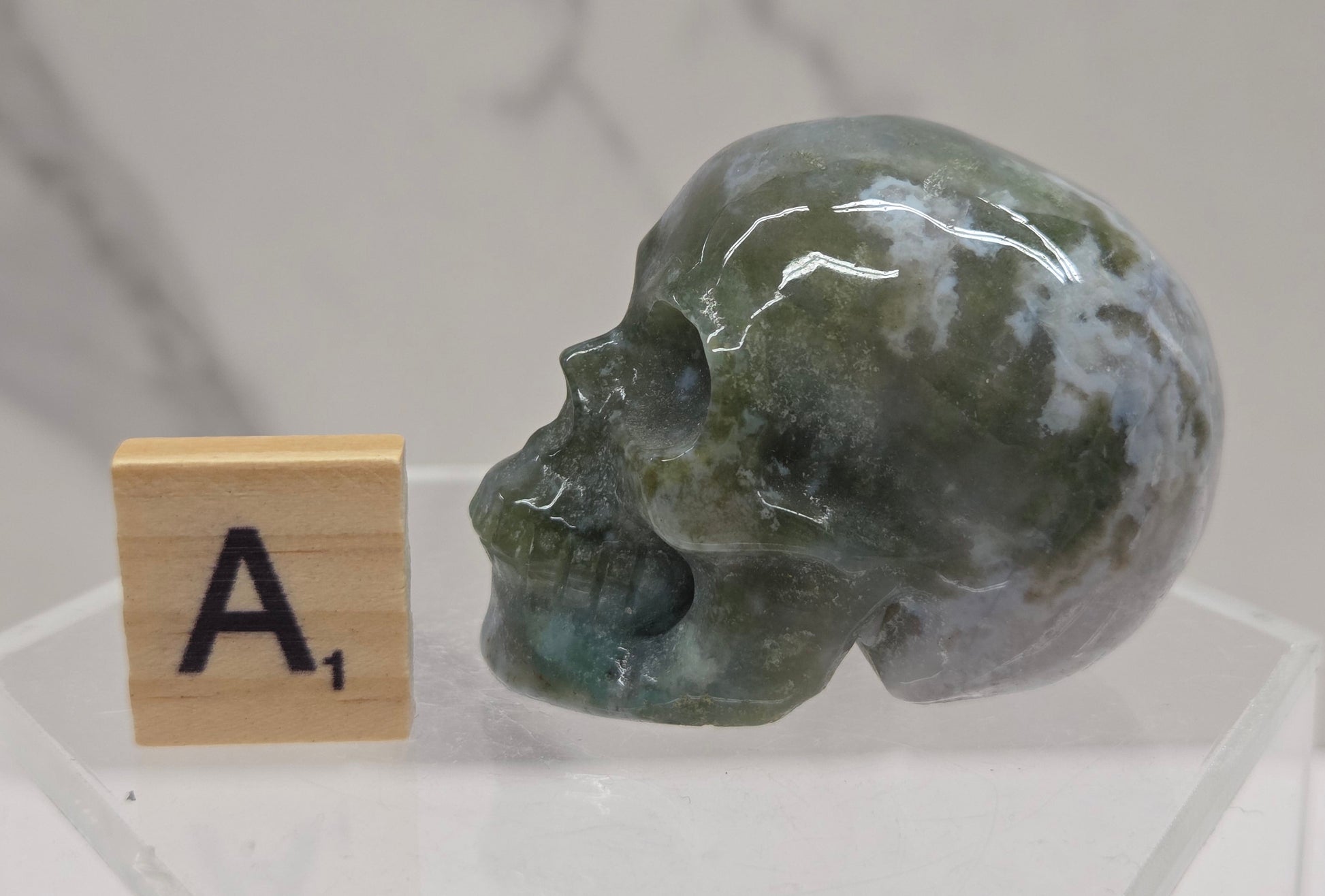 Moss Agate skull carving on a white background