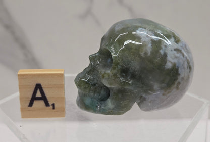 Moss Agate skull carving on a white background